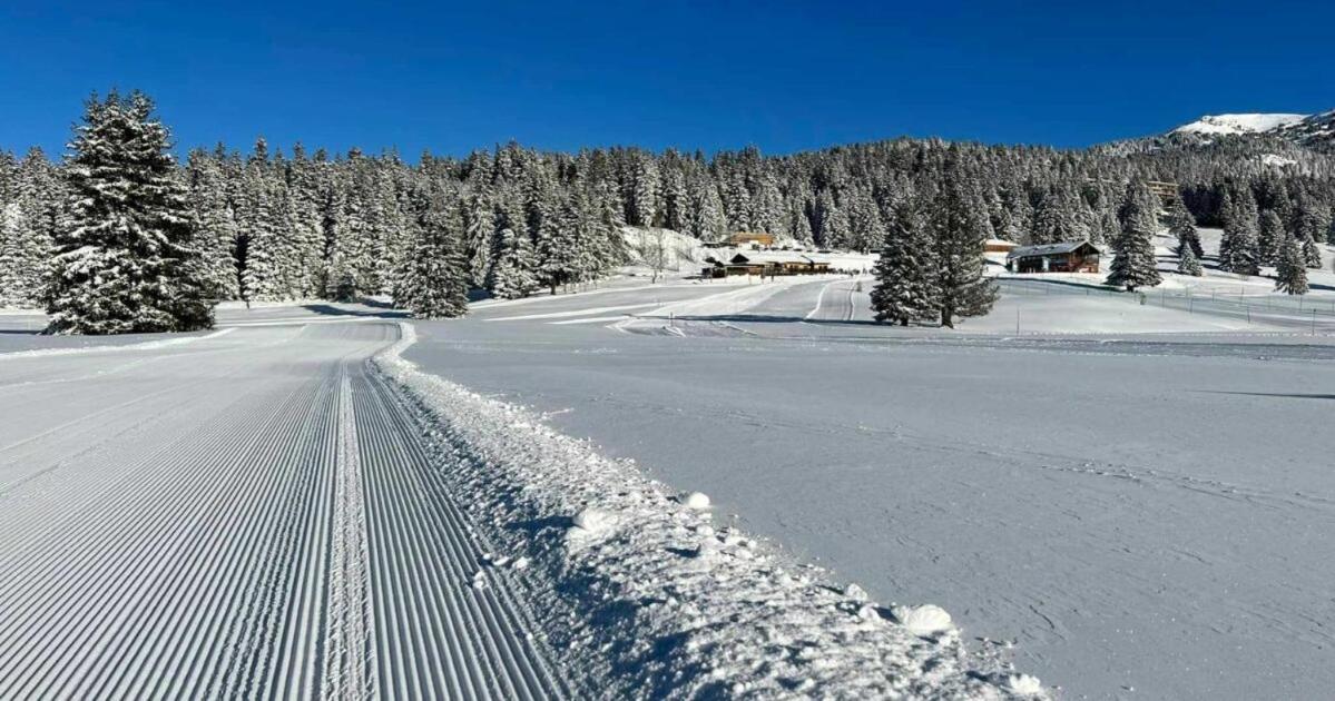 Le Flocon-Studio Cabine-Balcon 4-6 Pers A 100M Des Pistes Chamrousse Exteriör bild